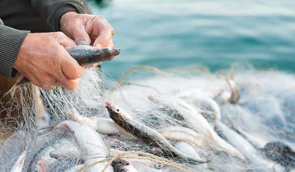 Slid_Cesenatico_Porto004